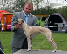 Time for cheerful Melody