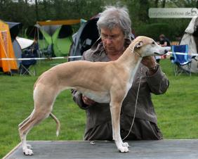 Avalonia vom Kleinen Berg 