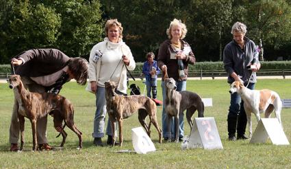 Ch. Happy Hunter's Midsummer Night's Dream - Jahressiegerin 2012 & BOB, Velvet's Celtic Legacy - V2, ResVDH, Blues in the Dark ad Honores - V3 & Vaya con Dios Valerie, Sg4