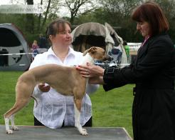 Keep on Running Good Day Sunshine