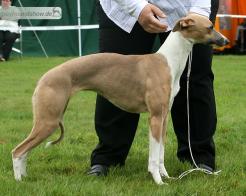 Keep on Running Good Day Sunshine