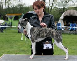 Billie Jean of Little Goblin