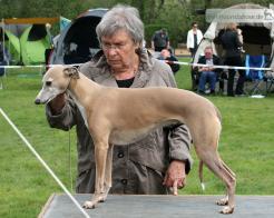 Finesse vom Kleinen Berg
