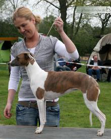 Thalia vom Kleinen Berg