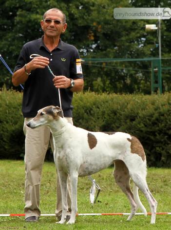 Allegra Niwika Sibin