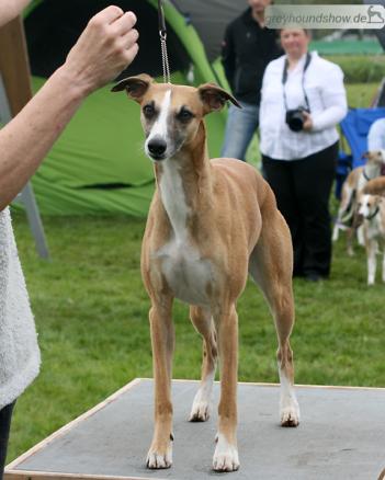 Koseilata's Dust on the Moon