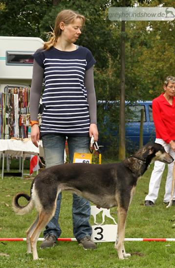 Chione Aziza men Tarah