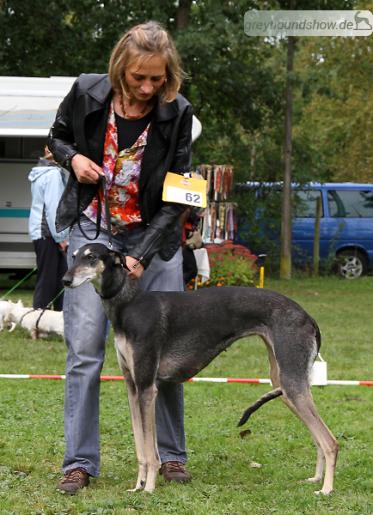 Ashera Aziza men Tara