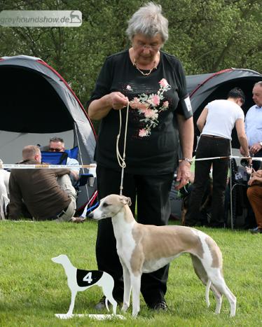 Xanadou vom Kleinen Berg