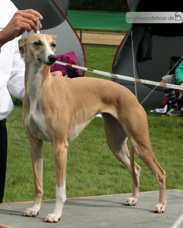 Yeunesse vom Kleinen Berg