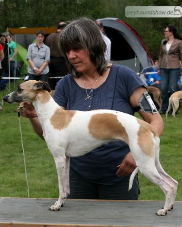 Koseilata's All you Need