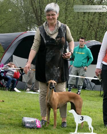 Mortimer's Lady Rose