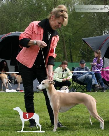 Blue Spring's Elektra