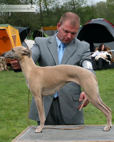 Time for a Little Sin